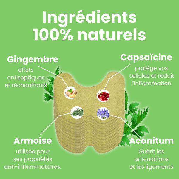 Patch anti-douleur (PROMO RAMADAN - Stock presqu'épuisé)